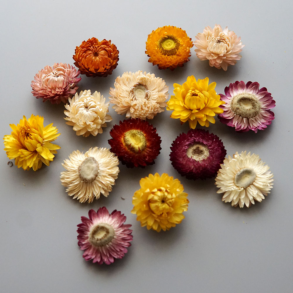 Natural Dried Colorful Chrysan - огляд і ціна Candle Making At Home