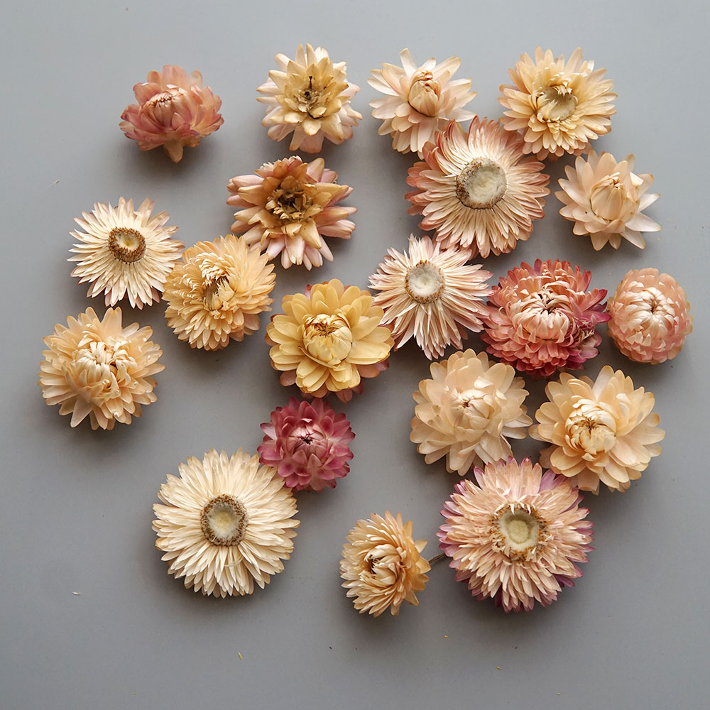 Natural Dried Colorful Chrysan - огляд і ціна Candle Making At Home