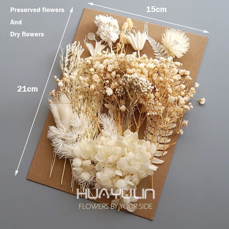 1 Pack Artificial Plants Dried - огляд і ціна Candle Making At Home